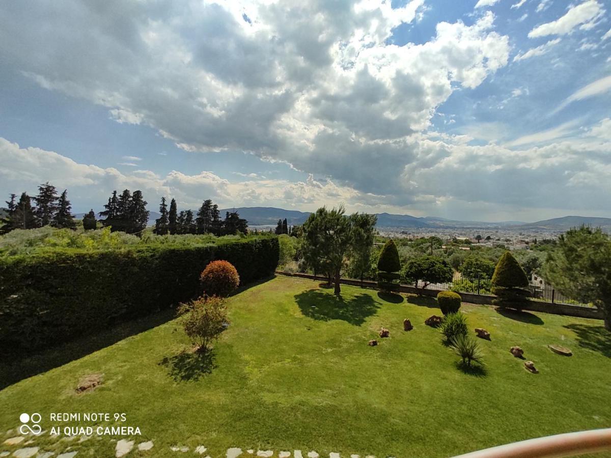 Luxury Villa Thea Волос Экстерьер фото